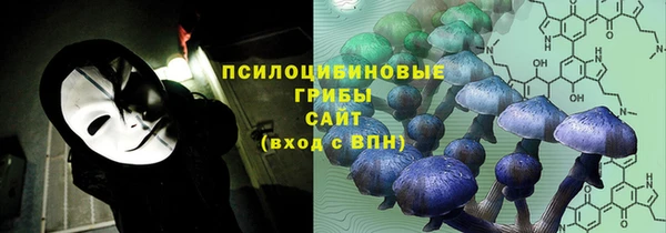 дмт Абаза