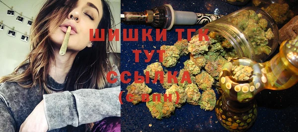 дмт Абаза