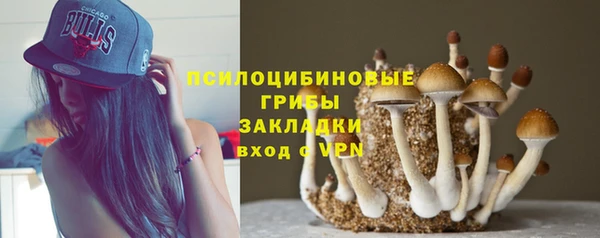 гашик Абдулино