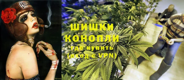 дмт Абаза