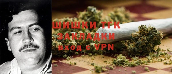 дмт Абаза